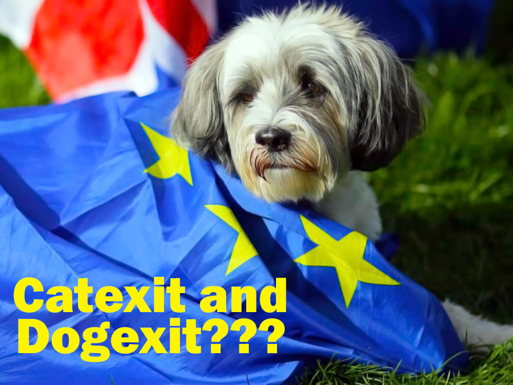 Brexit - Как это повлияет на поездки домашних животных