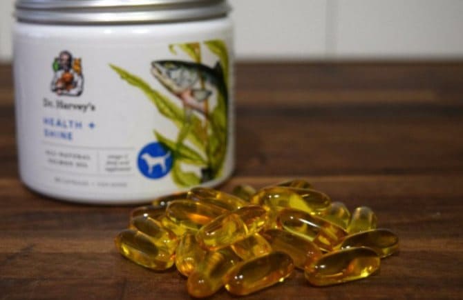 rybij-zhir-dlya-sobak3 (1)