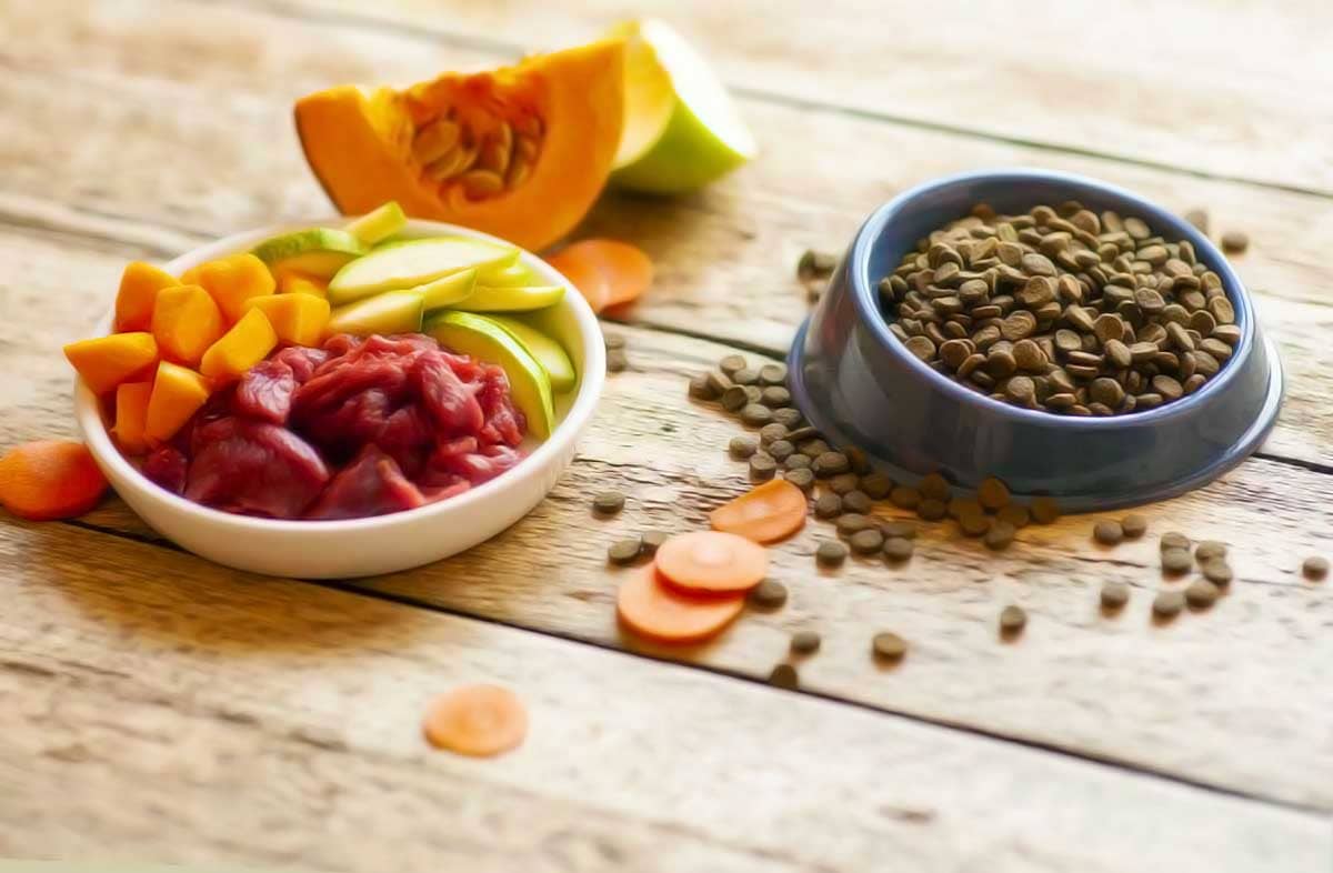 suhoi-korm-ili-naturalnyi (1)