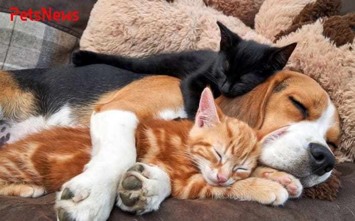 TELEMMGLPICT000209780763_trans_NvBQzQNjv4BqpVlberWd9EgFPZtcLiMQfy2dmClwgbjjulYfPTELibA (1)