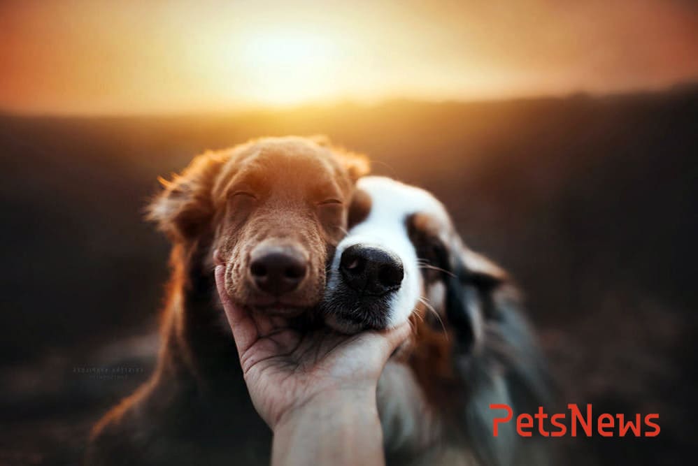 23af582e3ef75b12e10dd342084268420c5169 (1)