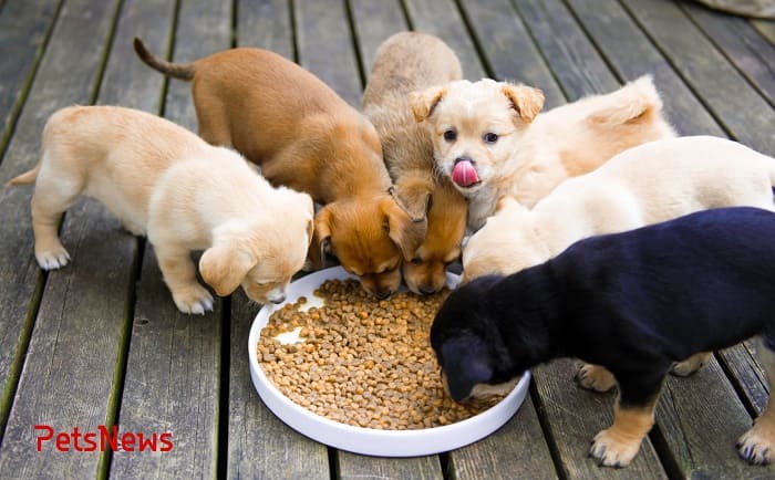 e4c084c26ce519bd8dc520140619ede0 (1) (1)