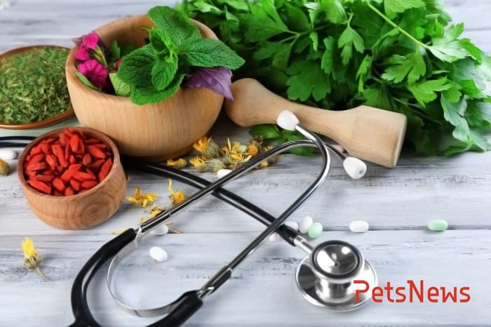 medicina_integrativa-1024x683 (1)