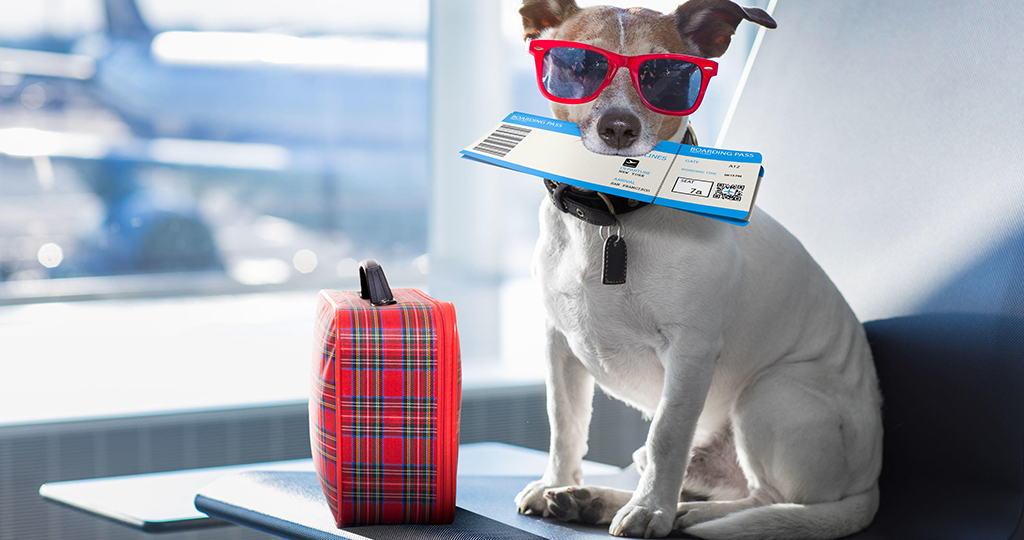 f42cc3ceda996dcddf13d9e6f0a2fd37