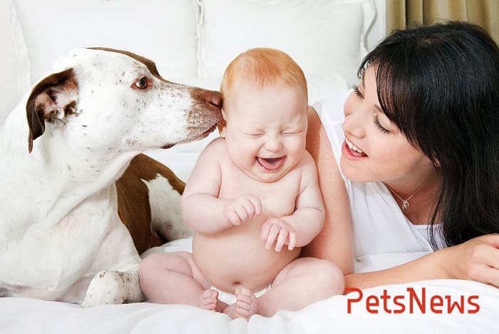 pet-babies-post-2 (1)