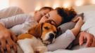 Делить постель с питомцем?